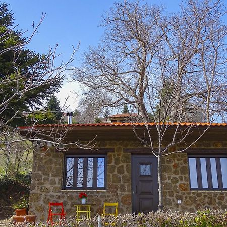 Γήλοφος Villa Áno Tríkala Kültér fotó